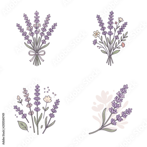 Delicate lavender sprigs and bouquets hand drawn floral elements