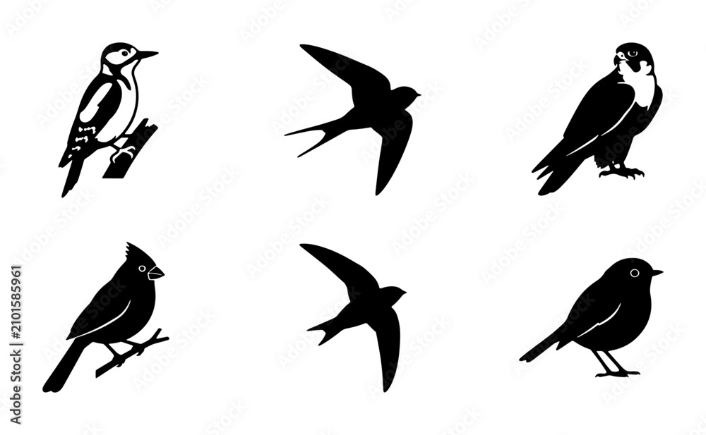 Fototapeta premium Bird Silhouettes Collection: Woodland, Garden, and Sky Dwellers, Vector Icons