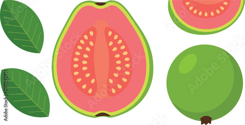 Fresh tropical pink guava fruit vector illustration set with whole half sliced pieces and green leaves isolated on white background for food beverage design