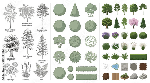 Set of vector trees, shrubs, plants, and landscape design elements for architecture