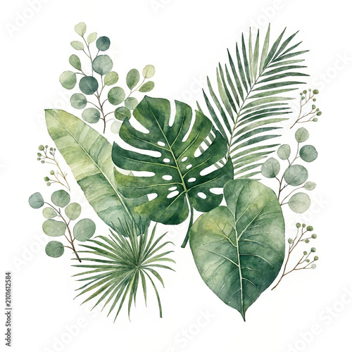 Premium Botanical Watercolor Green Leaves Collection Hand-Painted Illustration
