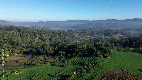 Aerial view captures lush green terraces