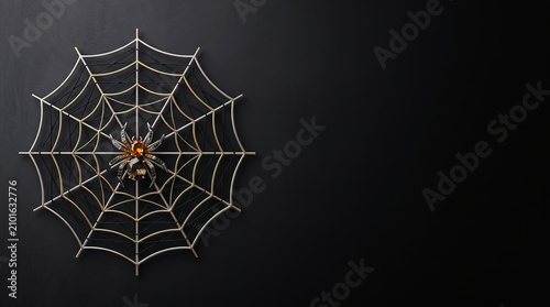 Spider Web Halloween Background with Premium Display