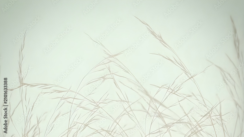 Fototapeta premium 밝은 배경 위로 드리워진 길쭉한 풀 잎의 그림자가 차분한 자연의 느낌을 전달 Shadows of long grass leaves cast on a bright background, conveying a calm natural feeling