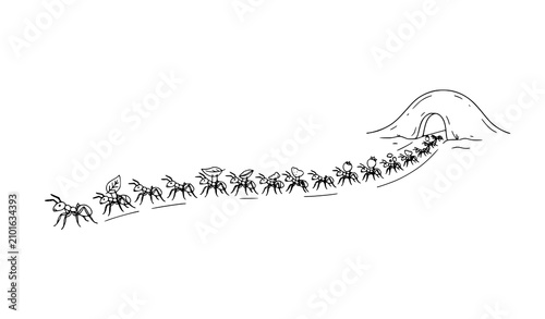 Ant Leadership and Teamwork Vector Black and White Nature Line Illustration