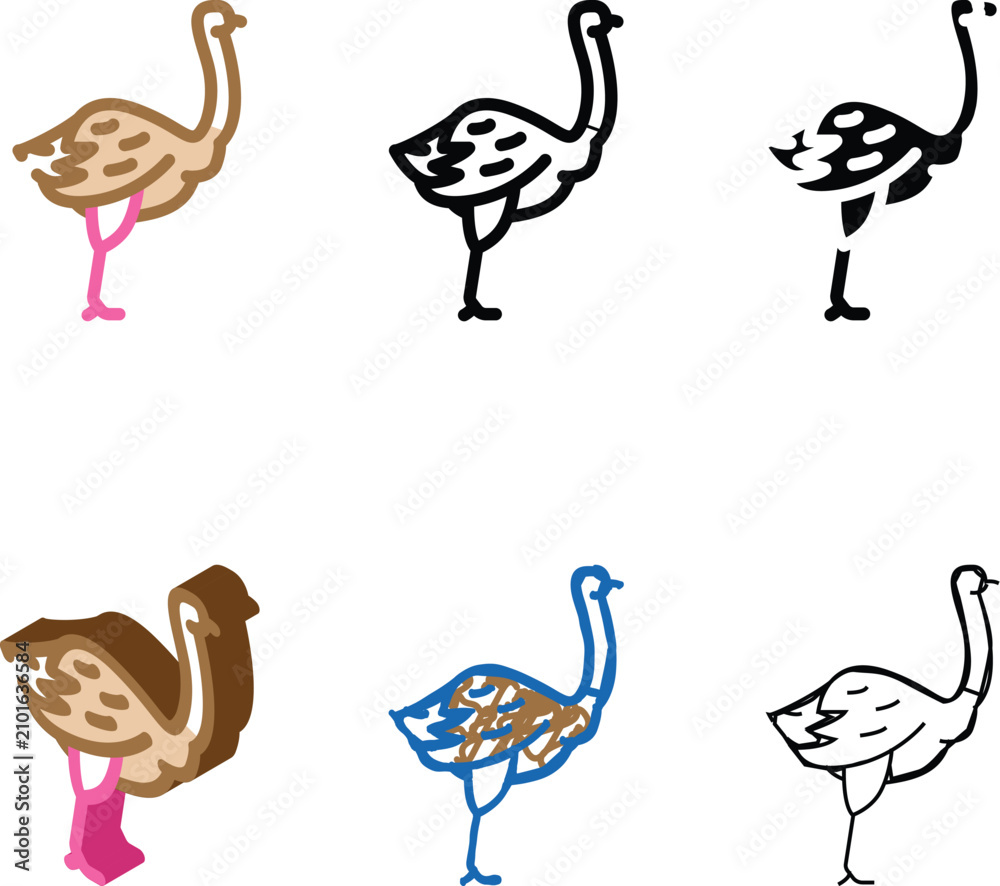 Obraz premium ostrich bird color icon vector. ostrich multistyle bird sign. isolated symbol illustration