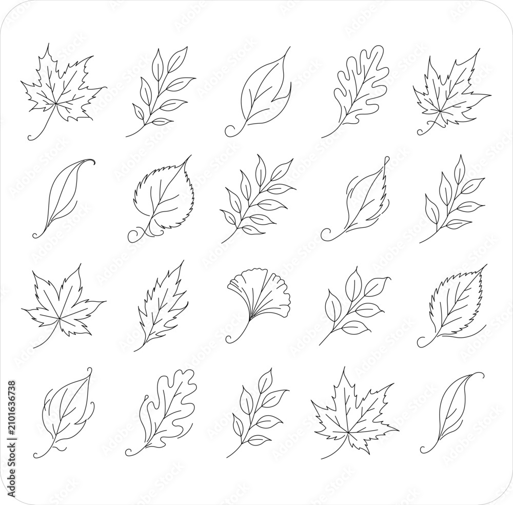 Fototapeta premium Autumn Leaves Outline Icon Set – Hand Drawn Fall Leaf Collection, Minimal Botanical Line Art, Vector Style Clipart