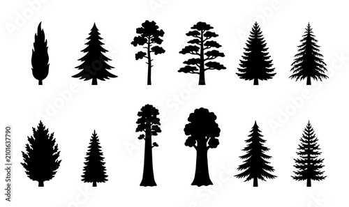 Foto Coniferous Tree Silhouettes Collection: Evergreen Forest Icons, Pine, Fir, Cedar
