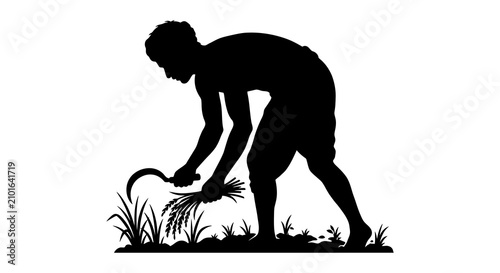 Foto Farmer Silhouette Against White Background Harvesting Crops With Sickle