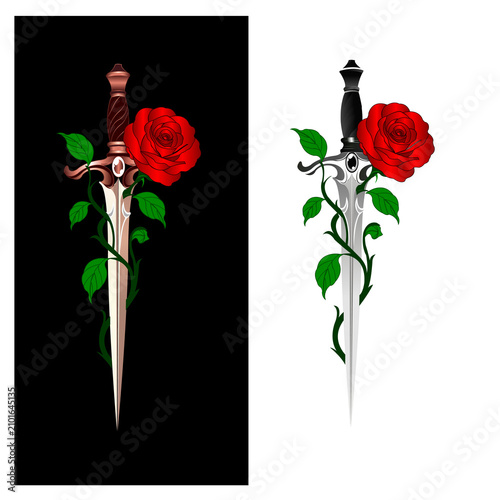 Cuadro en lienzo Dual Aesthetic Daggers with Entwined Red Roses
