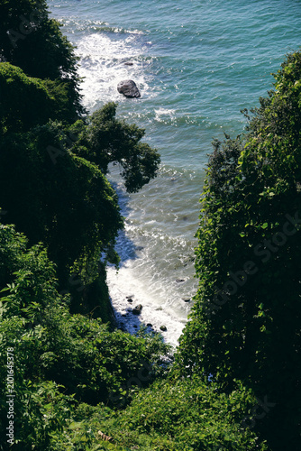 a view of the Black Sea from above among the trees