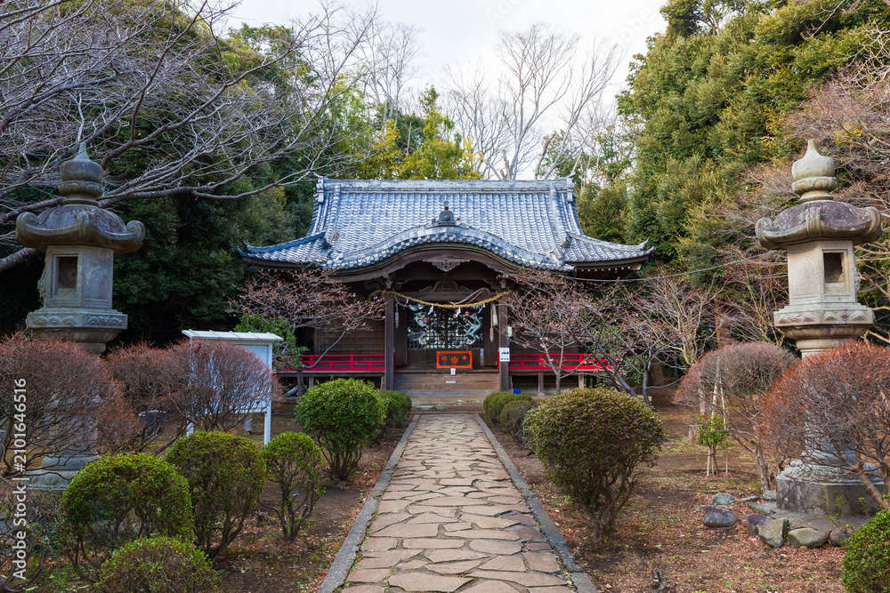 Fototapeta premium 日本の風景・冬 神奈川県二宮町 吾妻神社