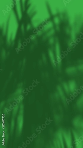 Shadows of Palm Leaf pine grass tree, vertical Green Screen Background, chroma key with Overlay.