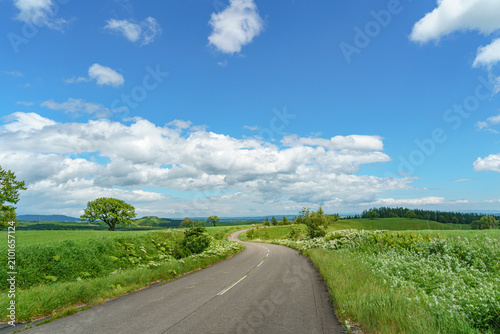 北海道上士幌町ナイタイ高原牧場 新緑が広がる夏の絶景ドライブロード