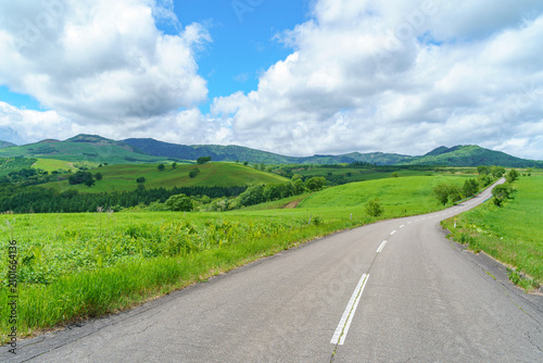 Canvastavla Scenic road through lush green Naitai Highland Farm in Kamishihoro, Tokachi, Hok