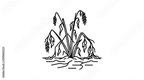 Obraz na płótnie Drought-stricken oat plant drawing, withered crop, dry soil, agriculture concept