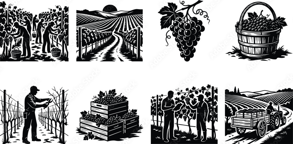 Obraz premium Set of black vineyard silhouette illustrations featuring grape harvest, farm workers, and viticulture landscapes