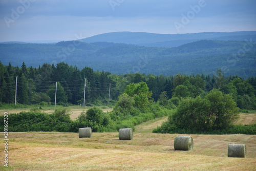 A field during harvest, Sainte-Apolline, Québec, Canada