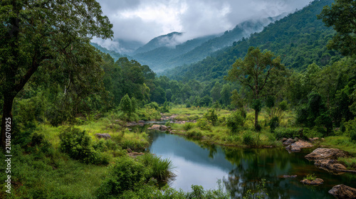Serene River Flowing Through Lush Tropical Rainforest with Misty Mountain Background at Sunrise