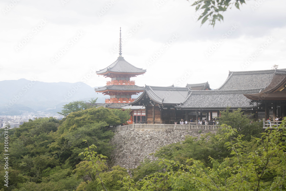 Obraz premium Koyasu-no-to Pagoda vista desde lejos junto al templo de Taisan-ji en un dia nublado