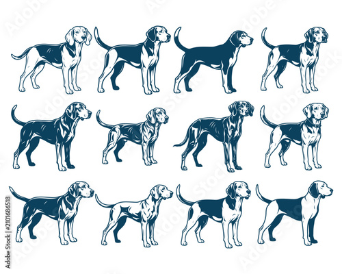 Dog Breed Line Art Set - Hand Drawn Standing Dogs Vector Illustration Collection Isolated on White Background