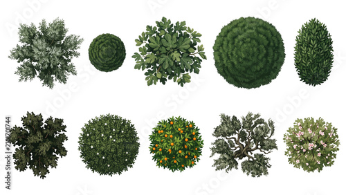 Top View Mediterranean Garden Tree Canopy Collection with Sculptural Organic Forms, Gouache Botanical Rendering and Luxury Landscape Architecture Vector