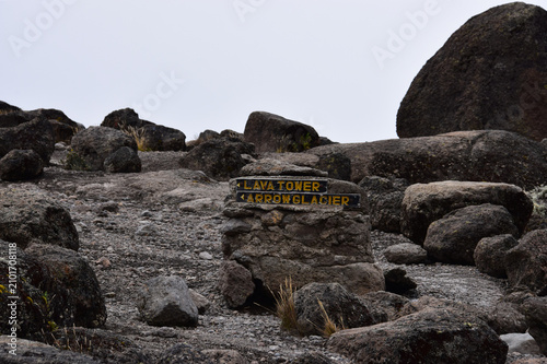 Stone trail marker pointing to Lava Tower and Arrow Glacier on Mount Kilimanjaro, surrounded by rugged volcanic terrain and alpine scenery.