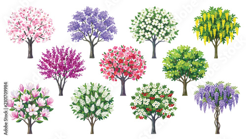 Top View Blooming Landscape Tree Crown Collection with Floral Canopy Forms, Gouache Botanical Rendering and Professional Landscape Plan Symbols Vector