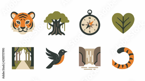 Photography International tiger day forest ecosystem and safari elements