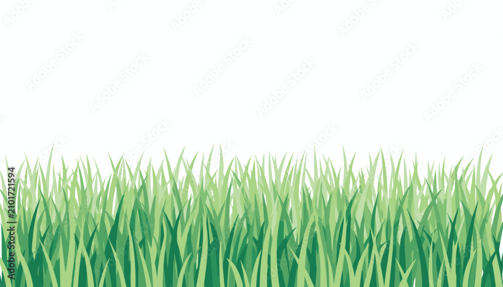 Obraz premium Lush green grass field border growing upwards against a clean white background in a realistic vector illustration style.
