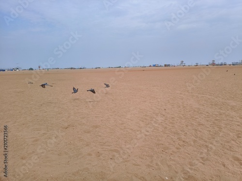 Fotografija Vast sandy shoreline at low tide under overcast sky with seashore landscape dayl