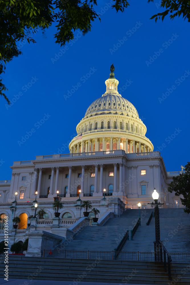 Obraz premium US Capitol Building at night - Washington DC, United States