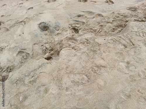 Foto Close-up detailed texture of wet coarse sand on the beach with granules backgrou