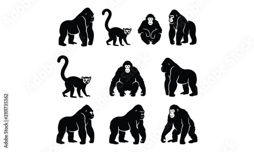 Canvas Print Primate animal silhouettes featuring gorillas and lemurs