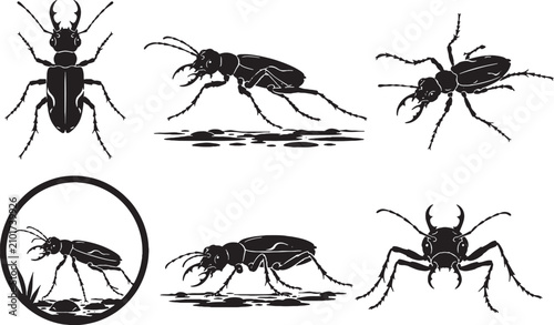 Bild auf Leinwand Giant Waterside Tiger Beetle Silhouette Icon Set Black Vector Predatory Beetle C