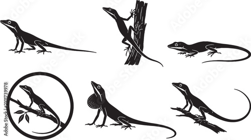 Photos Green Anole Silhouette Icon Set Black Vector Arboreal Lizard Collection