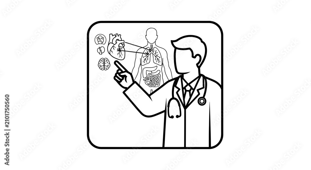 Fototapeta premium Doctor pointing at human anatomy diagram showing heart and lungs, medical education concept