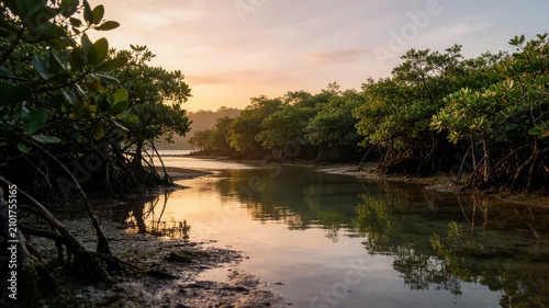 Cuadro en lienzo Scenic mangrove forest at sunset reflecting in calm river water ideal for enviro