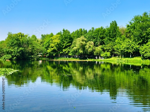 Принти на полотні A lush green lake, its surface like a mirror reflecting the surrounding forest