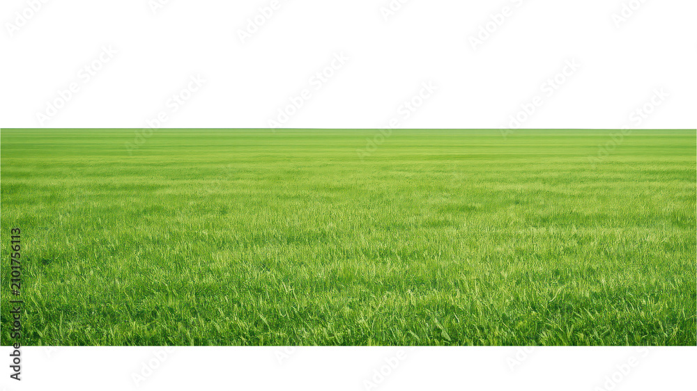 Obraz premium PNG Vast green field landscape