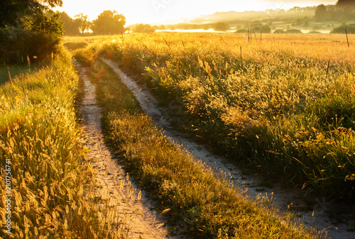 A country road leads into a bright golden light that spills across a meadow of lush grass. Picturesque countryside landscape during golden hour