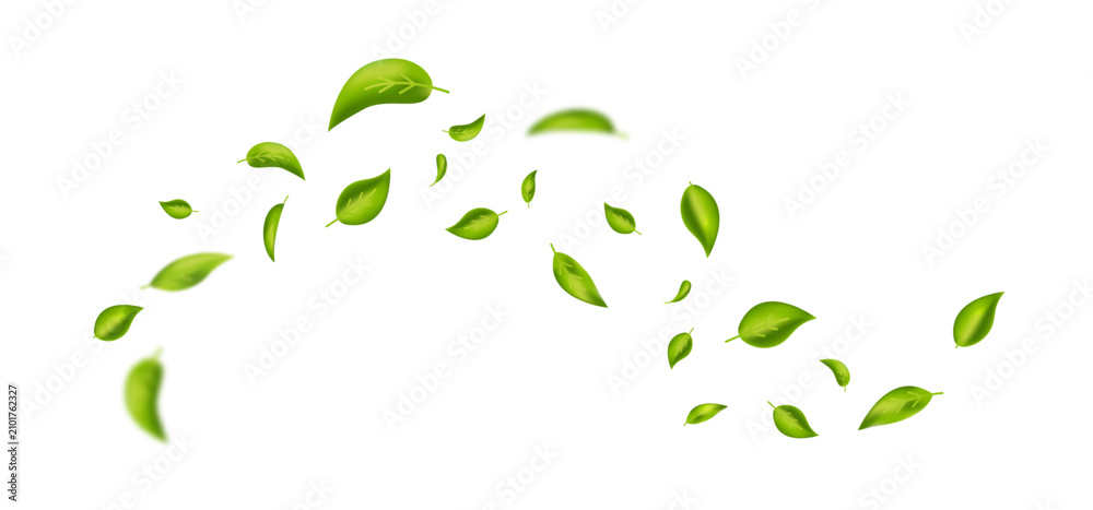 Fototapeta premium Wave foliage ornament. Green flying leaves frame. Leaf falling banner. Vegan, eco, organic product. Cosmetic pattern. Spring tree plant design. Fresh mint tea background. Air wind.Vector illustration