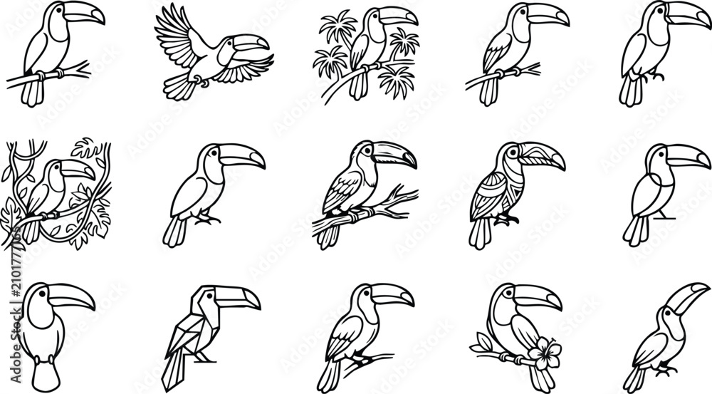 Obraz premium Set of fifteen black and white toucan bird featuring tropical birds on branches, flying toucans, and stylized jungle bird
