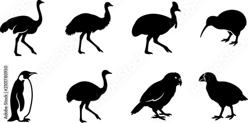 Fotografie Flightless Bird Silhouette Collection Featuring Ostrich Emu Cassowary Kiwi Pengu