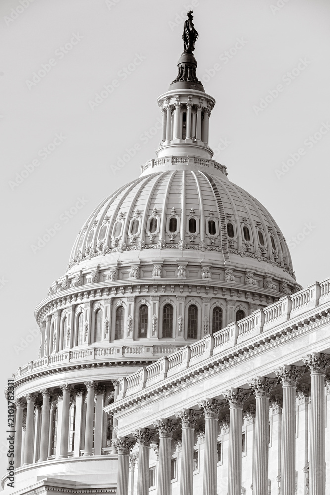 Fototapeta premium US Capitol Building at night - Washington DC, United States