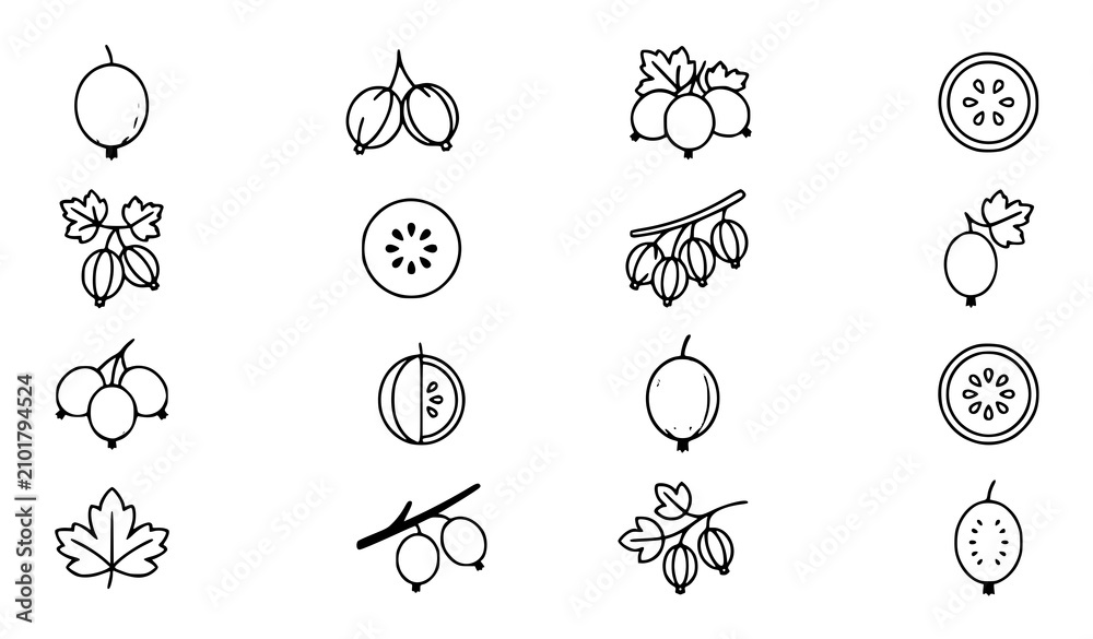 Fototapeta premium Gooseberry Linear and Clipart Icon Pack Collection with Editable Outline and Flat Vector Design