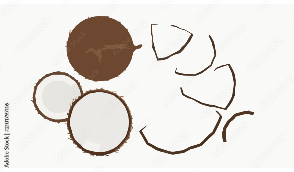 Obraz premium Premium Coconut Set with Whole Half and Sliced Fruit Vector Top View EPS10