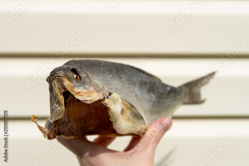 Canvastavla Close up of homemade salted and dried fish held by senior fisherman