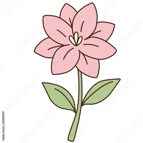 Illustration of Pink Flower with Green Leaves