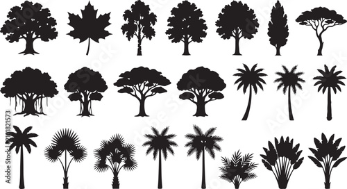 Broadleaf And Palm Tree Silhouette Vector Botanical Landscape Nature Collection Set